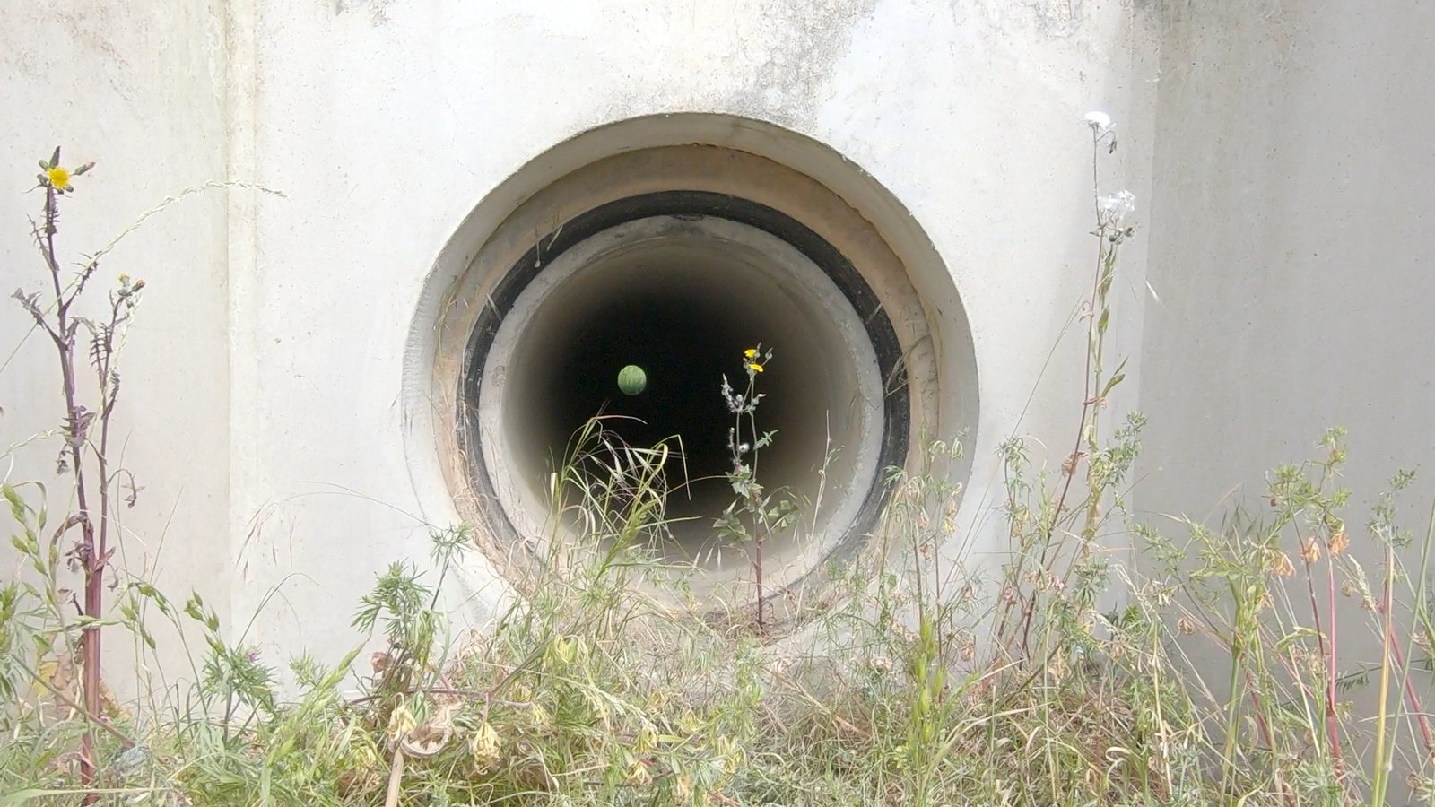 The only 'tunnel' on the line now is for badgers and other wildlife. 