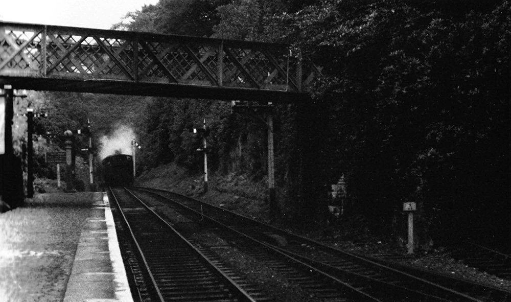 Yelverton Station Summer 1954