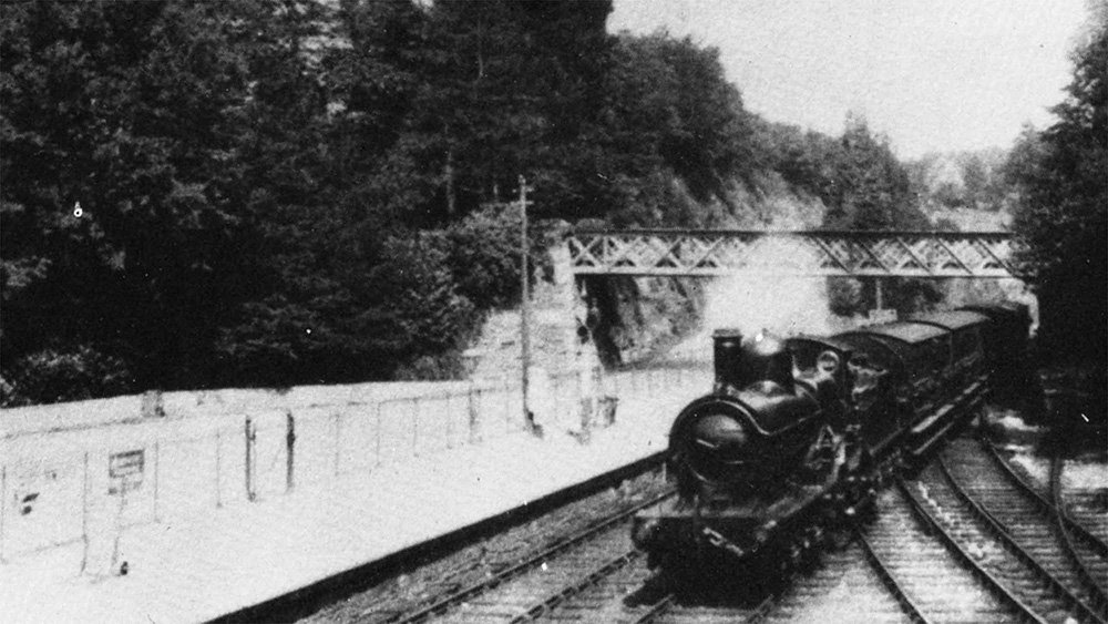 Yelverton Station Duke