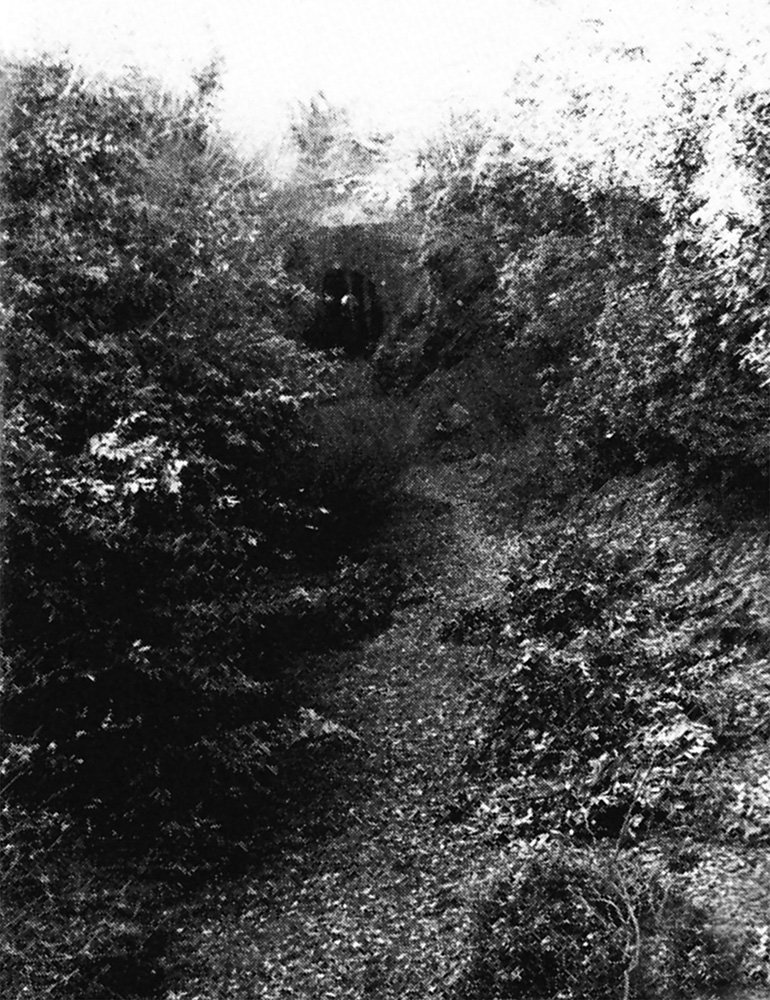 Yelverton Station after the closure
