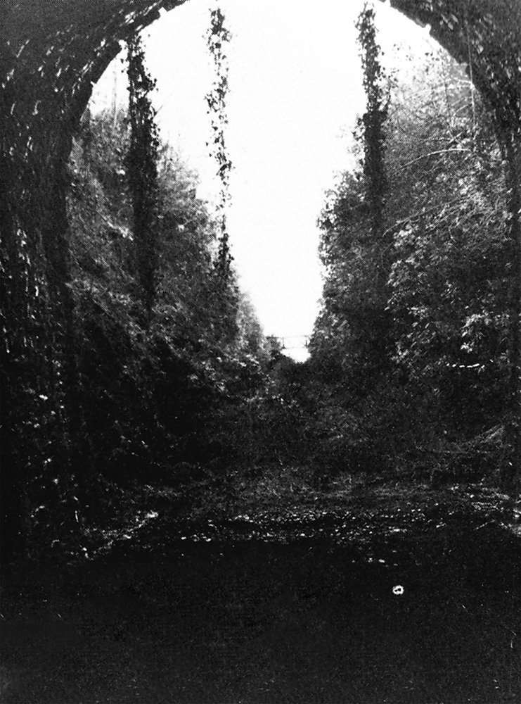 Yelverton Station after the closure